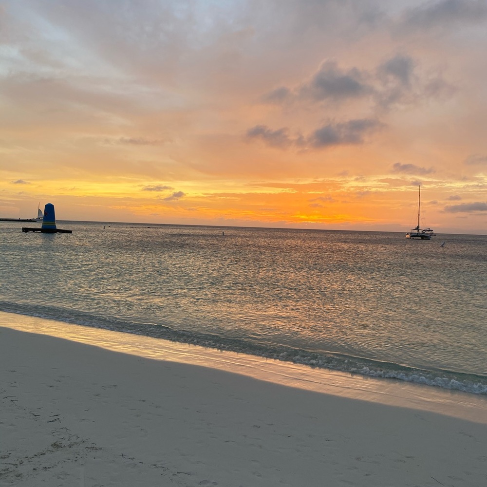 Meet your Posher, Ronna